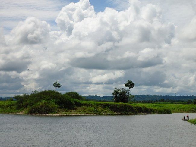 Amazonská delta